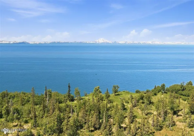 Photo 4 of Land for sale at 14179 Sterling Hwy, Ninilchik, AK 99639 | MLS# 26-7511 | Listing updated on 2026-08-17