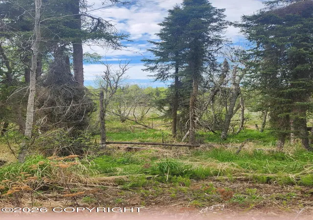 Photo 2 of Land for sale at 365 Harbor Ter, Soldotna, AK 99669 | MLS# 26-6664 | Listing updated on 2026-07-07