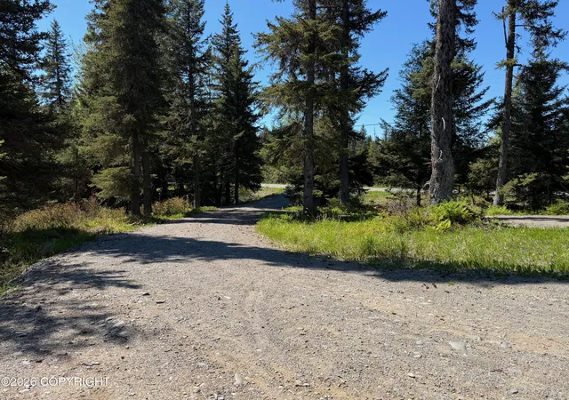 Homes for sale in Anchor Point, AK | 36118 Old Sterling Hwy, Anchor Point, AK 99556 | MLS# 26-6714