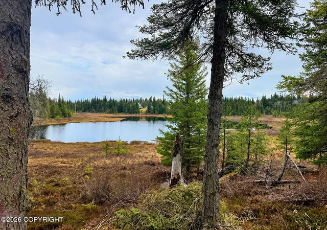Homes for sale in Anchor Point, AK | 36118 Old Sterling Hwy, Anchor Point, AK 99556 | MLS# 26-6714