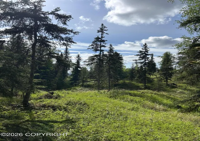 Photo 1 of Land for sale at 34815 Schwalm Rd, Soldotna, AK 99669 | MLS# 26-6755 | Listing updated on 2026-06-09