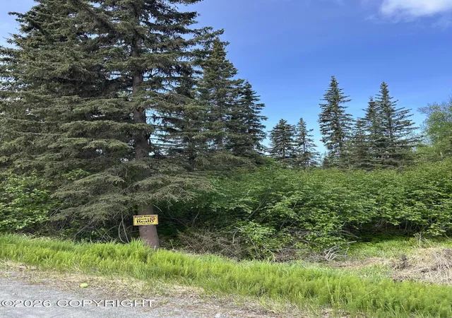 Photo 2 of Land for sale at 34815 Schwalm Rd, Soldotna, AK 99669 | MLS# 26-6755 | Listing updated on 2026-06-09