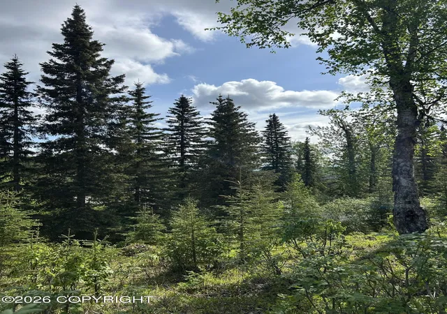 Photo 3 of Land for sale at 34815 Schwalm Rd, Soldotna, AK 99669 | MLS# 26-6755 | Listing updated on 2026-06-09