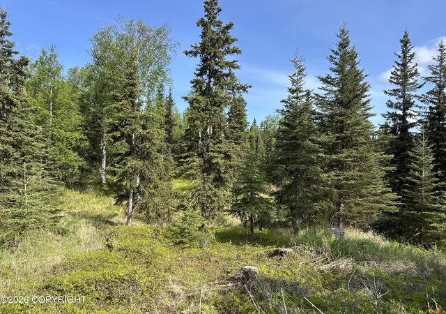 Photo 4 of Land for sale at 34815 Schwalm Rd, Soldotna, AK 99669 | MLS# 26-6755 | Listing updated on 2026-06-09