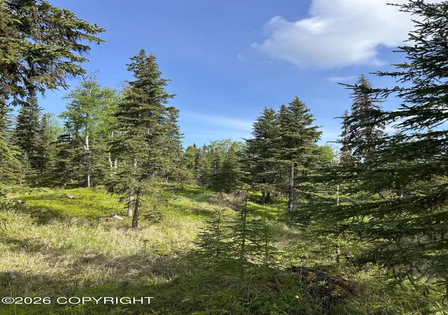 Photo 5 of Land for sale at 34815 Schwalm Rd, Soldotna, AK 99669 | MLS# 26-6755 | Listing updated on 2026-06-09