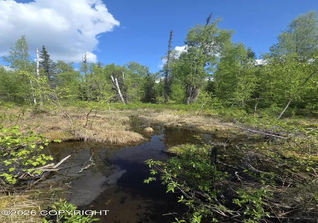 Photo 1 of Land for sale at 36055 S Malaspina Loop, Talkeetna, AK 99676 | MLS# 26-6826 | Listing updated on 2026-06-13