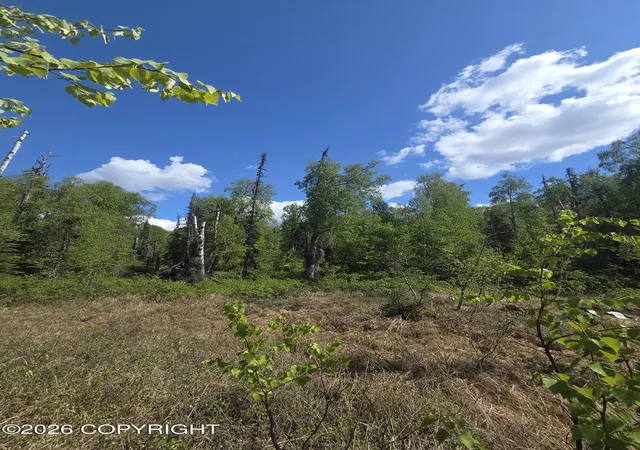 Photo 2 of Land for sale at 36055 S Malaspina Loop, Talkeetna, AK 99676 | MLS# 26-6826 | Listing updated on 2026-06-13