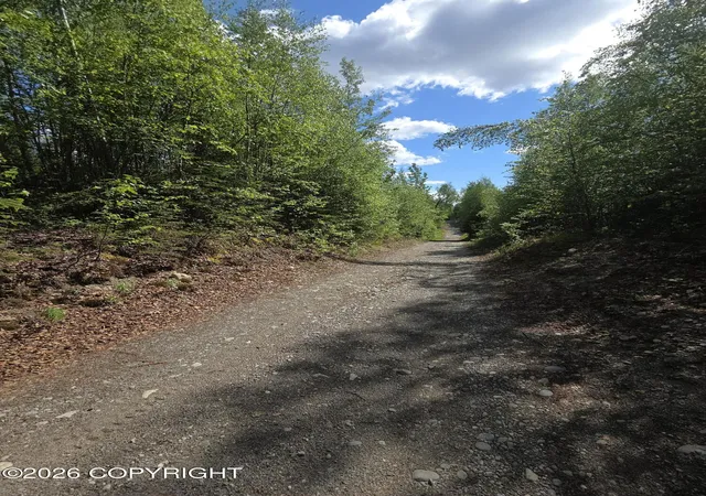 Photo 3 of Land for sale at 36055 S Malaspina Loop, Talkeetna, AK 99676 | MLS# 26-6826 | Listing updated on 2026-06-13