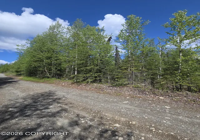 Photo 3 of Land for sale at 36055 S Malaspina Loop, Talkeetna, AK 99676 | MLS# 26-6826 | Listing updated on 2026-06-13