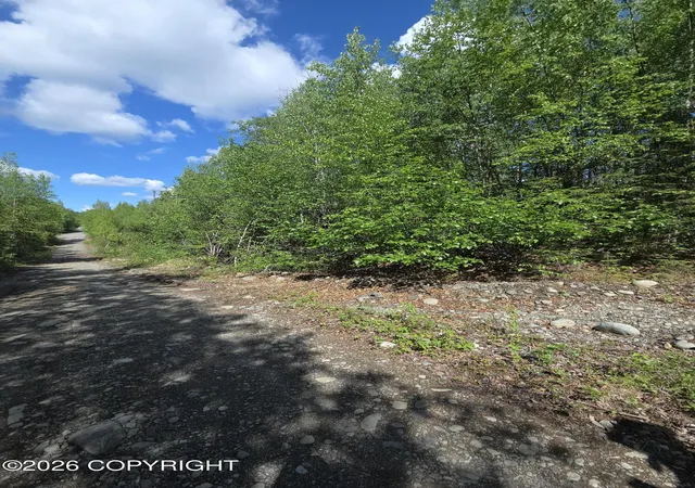 Photo 4 of Land for sale at 36055 S Malaspina Loop, Talkeetna, AK 99676 | MLS# 26-6826 | Listing updated on 2026-06-13