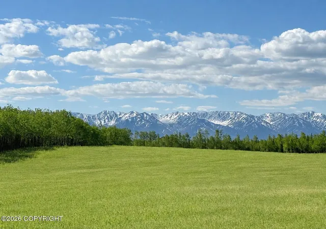 Photo 2 of Land for sale at 000 Greensmith Rd, Delta Junction, AK 99737 | MLS# 26-7148 | Listing updated on 2026-06-23