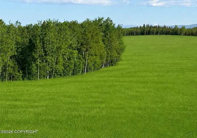 Photo 3 of Land for sale at 000 Greensmith Rd, Delta Junction, AK 99737 | MLS# 26-7148 | Listing updated on 2026-06-23