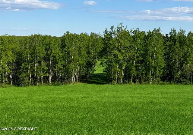 Photo 3 of Land for sale at 000 Greensmith Rd, Delta Junction, AK 99737 | MLS# 26-7148 | Listing updated on 2026-06-23