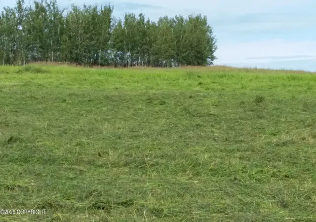 Photo 4 of Land for sale at 000 Greensmith Rd, Delta Junction, AK 99737 | MLS# 26-7148 | Listing updated on 2026-06-23