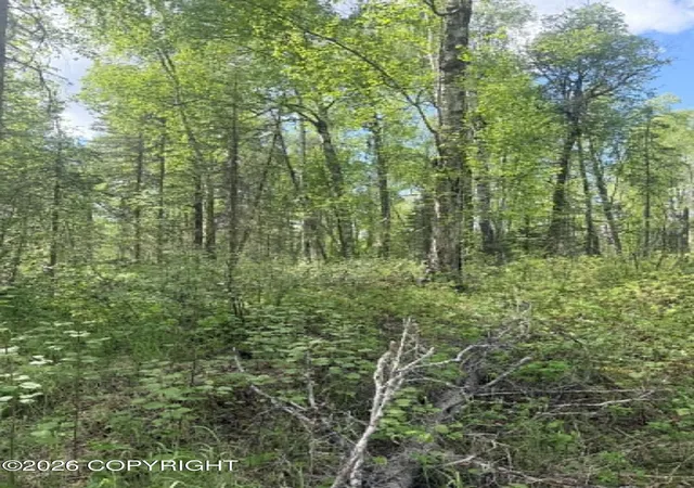 19th image of L1 B3 Wolfglen, Talkeetna, AK 99676 | MLS# 26-6908