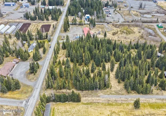 Homes for sale in Anchor Point, AK | 72595 Milo Fritz Ave, Anchor Point, AK 99556 | MLS# 26-6949