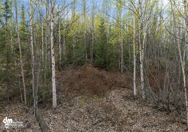 Photo 3 of Land for sale at 638 S Harlindon Dale Cir, Wasilla, AK 99623 | MLS# 26-7346 | Listing updated on 2026-07-29