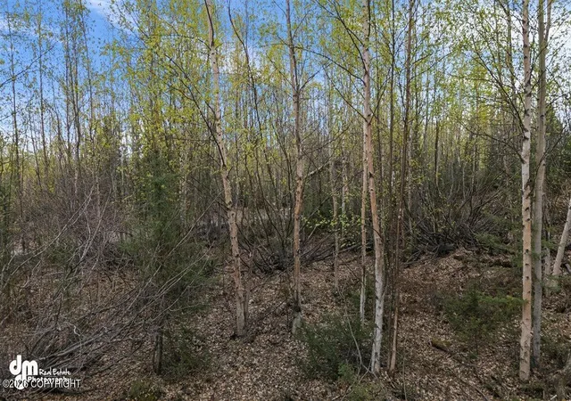 Photo 4 of Land for sale at 638 S Harlindon Dale Cir, Wasilla, AK 99623 | MLS# 26-7346 | Listing updated on 2026-07-29