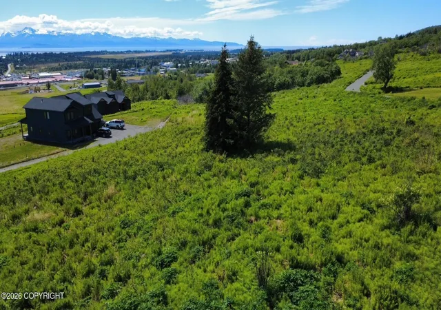 Homes for sale in Homer, AK | 41201 Wandering St, Homer, AK 99603 | MLS# 26-7325