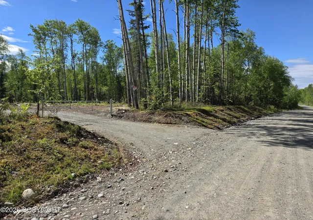 Homes for sale in Willow, AK | 51293 S Caswell Loop, Willow, AK 99688 | MLS# 26-7270