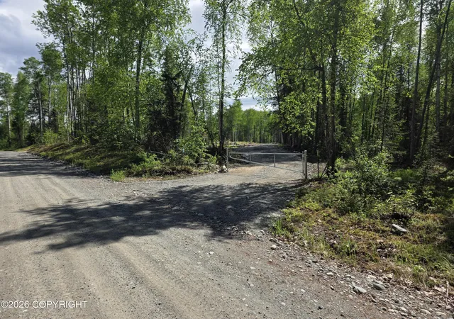 Homes for sale in Willow, AK | 51293 S Caswell Loop, Willow, AK 99688 | MLS# 26-7270