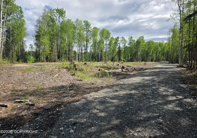 Homes for sale in Willow, AK | 51293 S Caswell Loop, Willow, AK 99688 | MLS# 26-7270