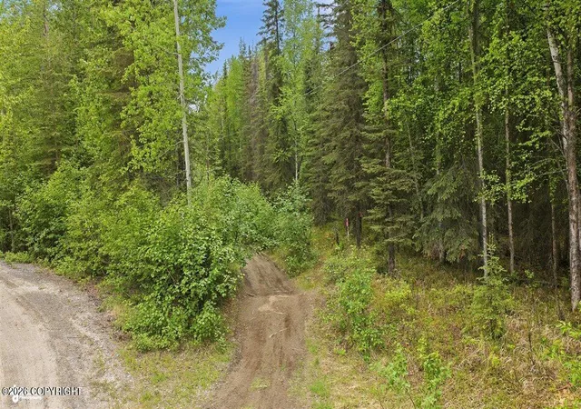 Homes for sale in Soldotna, AK | L15 B2 Whisper Lake St, Soldotna, AK 99669 | MLS# 26-7088