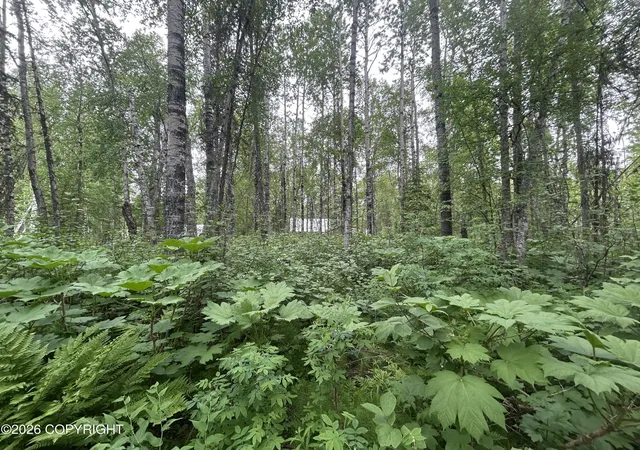 Homes for sale in Talkeetna, AK | 14149 E Front St, Talkeetna, AK 99676 | MLS# 26-7201