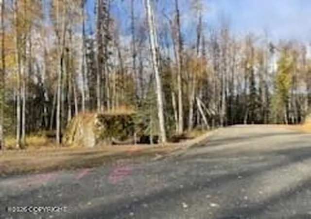 Photo 2 of Land for sale at L10 Authentic Rd, Soldotna, AK 99669 | MLS# 26-7208 | Listing updated on 2026-06-23