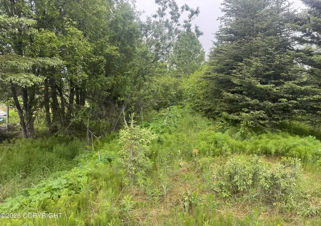 Homes for sale in Nikolaevsk, AK | 65131 Nikolaevsk Rd, Nikolaevsk, AK 99556 | MLS# 26-7172