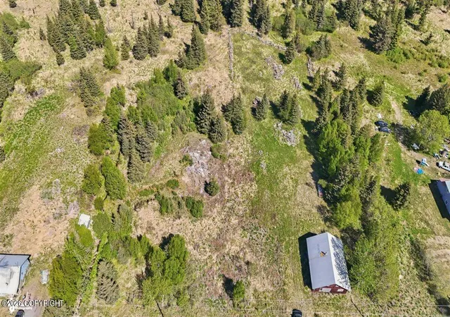Homes for sale in Nikolaevsk, AK | 65131 Nikolaevsk Rd, Nikolaevsk, AK 99556 | MLS# 26-7172
