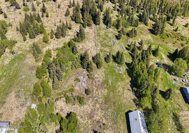 Homes for sale in Nikolaevsk, AK | 65131 Nikolaevsk Rd, Nikolaevsk, AK 99556 | MLS# 26-7172
