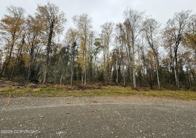 21st image of 25476 S Wolf Track Rd, Talkeetna, AK 99676 | MLS# 26-7221
