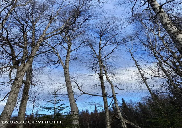 3rd image of 25476 S Wolf Track Rd, Talkeetna, AK 99676 | MLS# 26-7221
