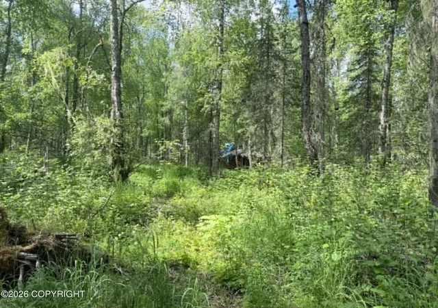 4th image of 25476 S Wolf Track Rd, Talkeetna, AK 99676 | MLS# 26-7221