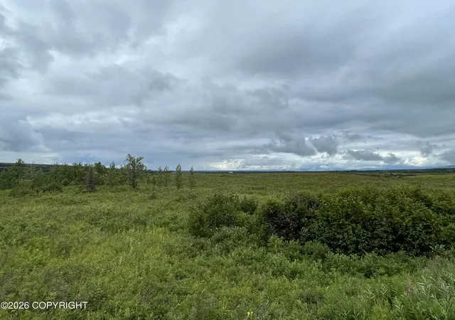 Homes for sale in Trapper Creek, AK | 5598 S Lucky Crk Cir, Trapper Creek, AK 99683 | MLS# 26-7231
