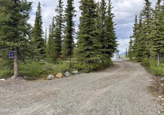 80th image of 392 Toklat Ct, Denali National Park, AK 99755 | MLS# 26-7297