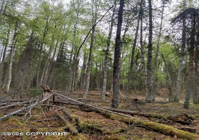 2nd image of Tr E No Road, Big Lake, AK 99652 | MLS# 26-7402