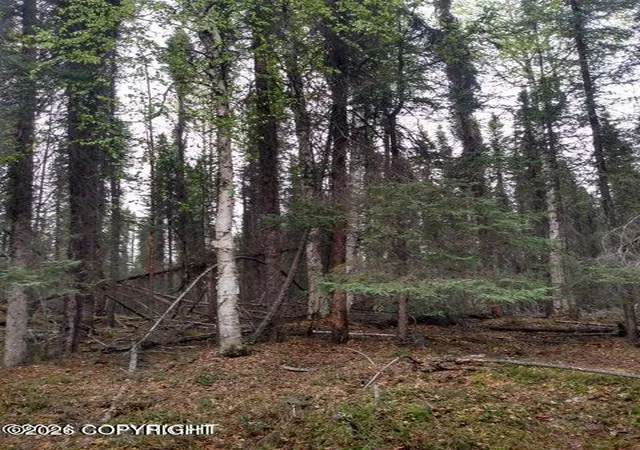 3rd image of Tr E No Road, Big Lake, AK 99652 | MLS# 26-7402