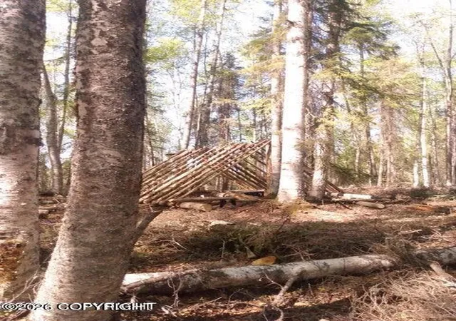 5th image of Tr E No Road, Big Lake, AK 99652 | MLS# 26-7402