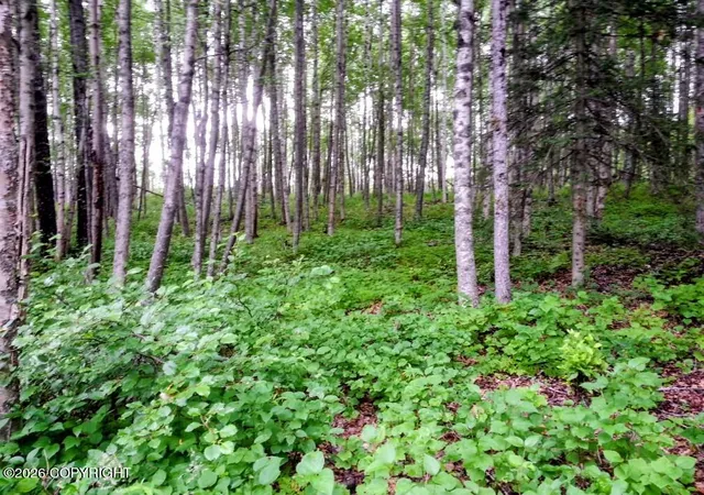 Photo 1 of Land for sale at 15274 W 4th Street, Wasilla, AK 99623 | MLS# 26-7387 | Listing updated on 2026-07-07
