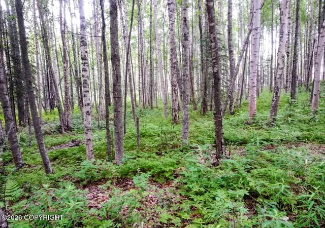 Photo 2 of Land for sale at 15274 W 4th Street, Wasilla, AK 99623 | MLS# 26-7387 | Listing updated on 2026-07-07