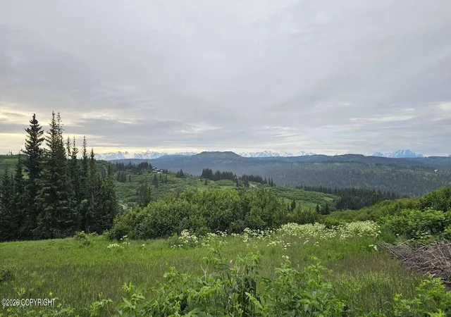 Homes for sale in Homer, AK | 35925 N Fork Rd, Homer, AK 99603 | MLS# 26-7404