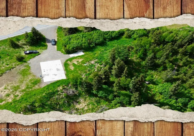 Homes for sale in Anchor Point, AK | 35232 N Fork Rd, Anchor Point, AK 99556 | MLS# 26-7427