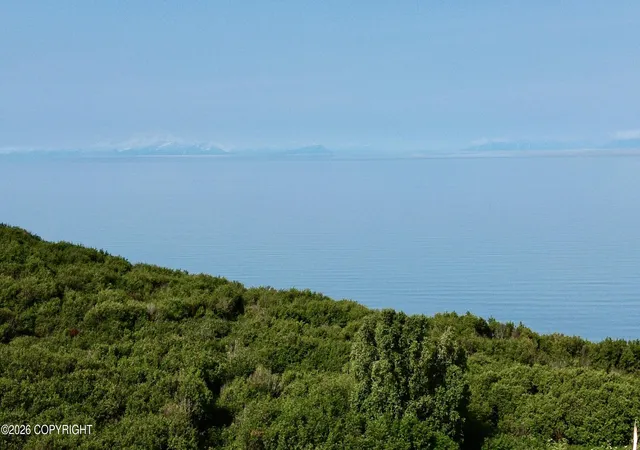 Photo 3 of Land for sale at 73910 Sterling Hwy, Ninilchik, AK 99639 | MLS# 26-7433 | Listing updated on 2026-08-15