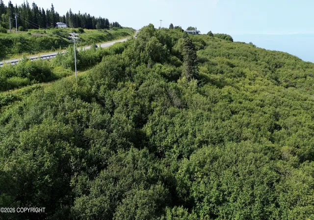 Photo 4 of Land for sale at 73910 Sterling Hwy, Ninilchik, AK 99639 | MLS# 26-7433 | Listing updated on 2026-08-15