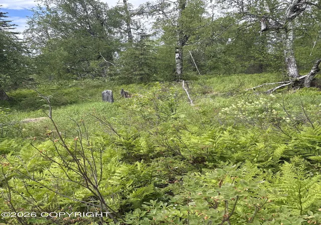 Photo 2 of Land for sale at 22909 E Rampart Loop, Talkeetna, AK 99676 | MLS# 26-7443 | Listing updated on 2026-07-27