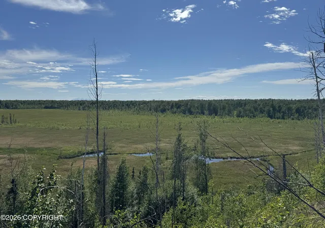 Homes for sale in Willow, AK | 47960 S Merlin Dr, Willow, AK 99688 | MLS# 26-7648