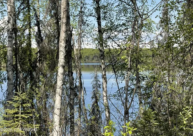 3rd image of 19351 E Caswell Lks Rd, Willow, AK 99688 | MLS# 26-7524
