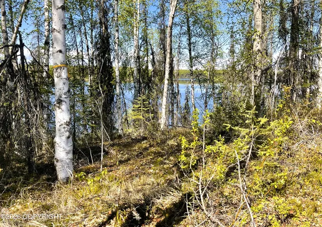 4th image of 19351 E Caswell Lks Rd, Willow, AK 99688 | MLS# 26-7524